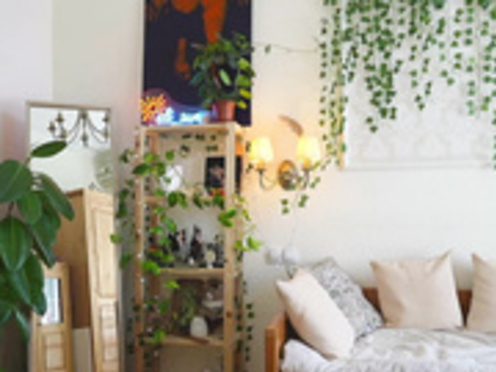 eli_sun 2025-06-04_12-00-07-002